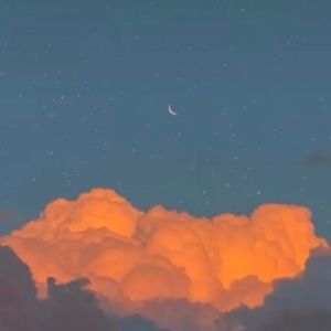 Meet your Posher, Karina